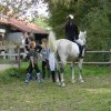 Babie Lato 2016